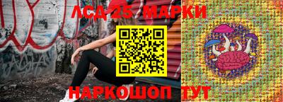 СК Славянск-на-Кубани