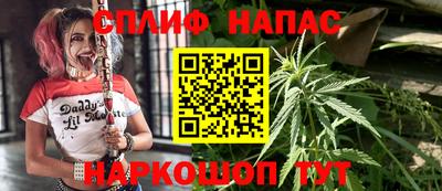 СК Славянск-на-Кубани