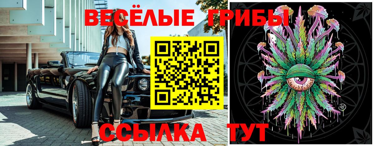 Псилоцибиновые грибы MAGIC MUSHROOMS Солнечногорск