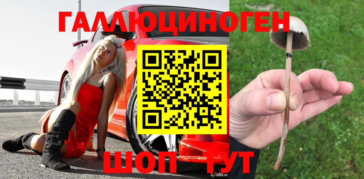 даркнет сайт  Солнечногорск  Псилоцибиновые грибы Cubensis 