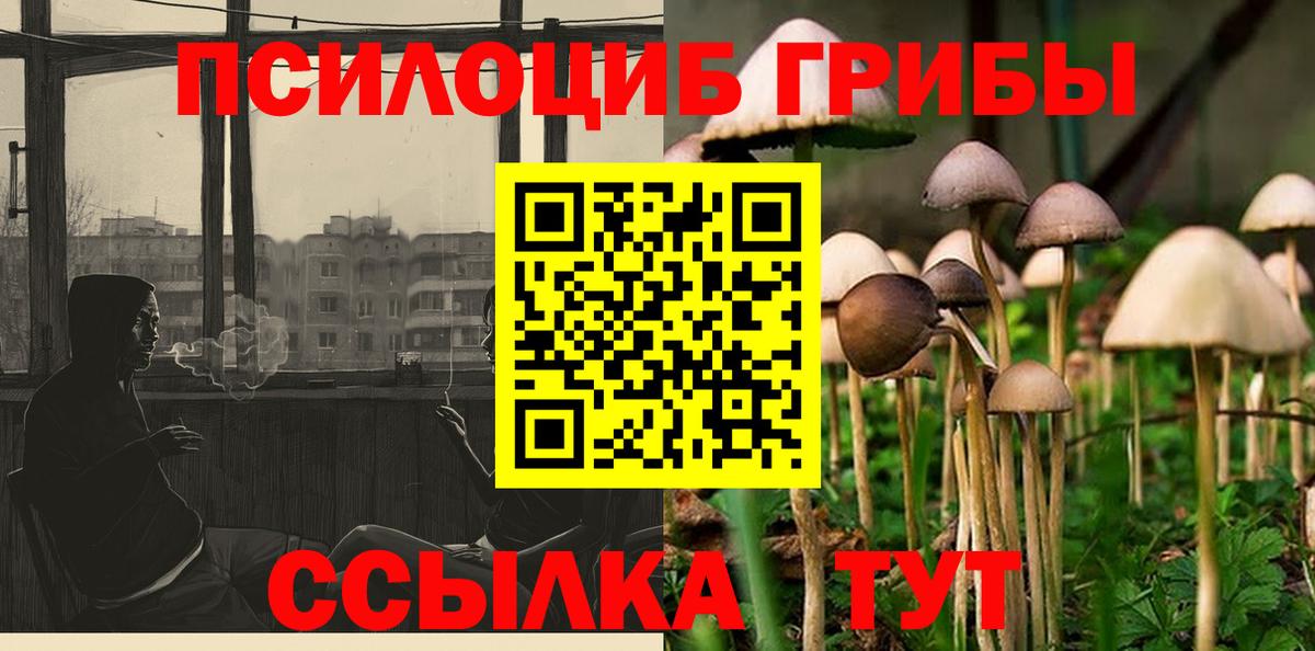 Солнечногорск  Псилоцибиновые грибы ЛСД  даркнет сайт  Вход с VPN  Псилоцибиновые грибы GOLDEN TEACHER 